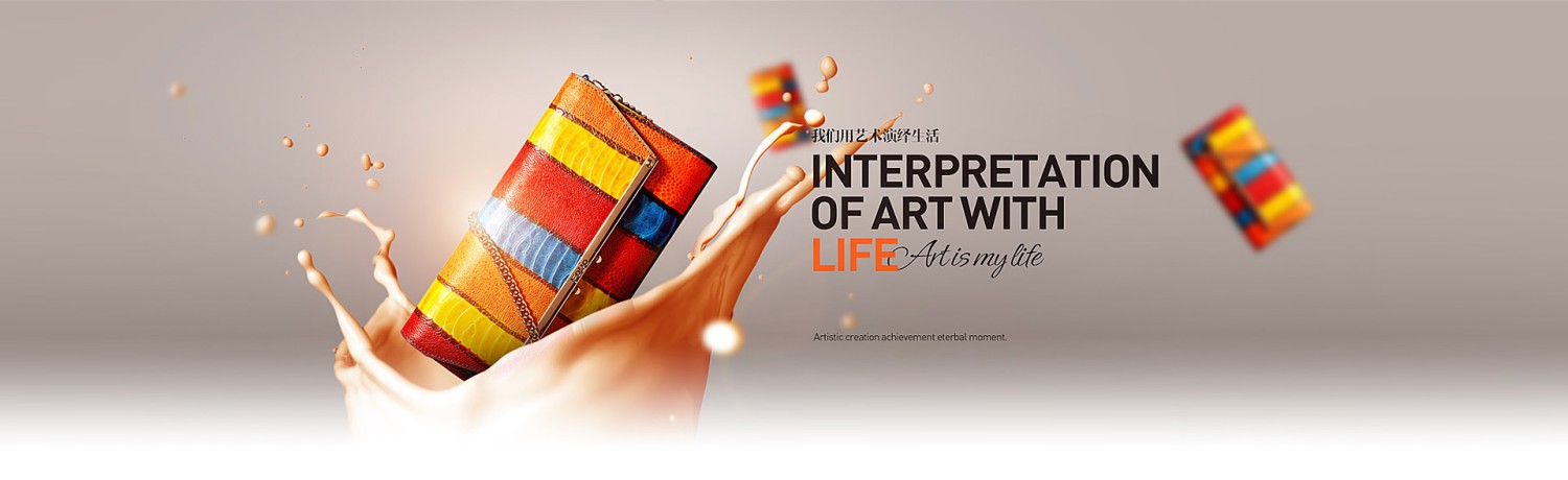 跨境pro系统 promo